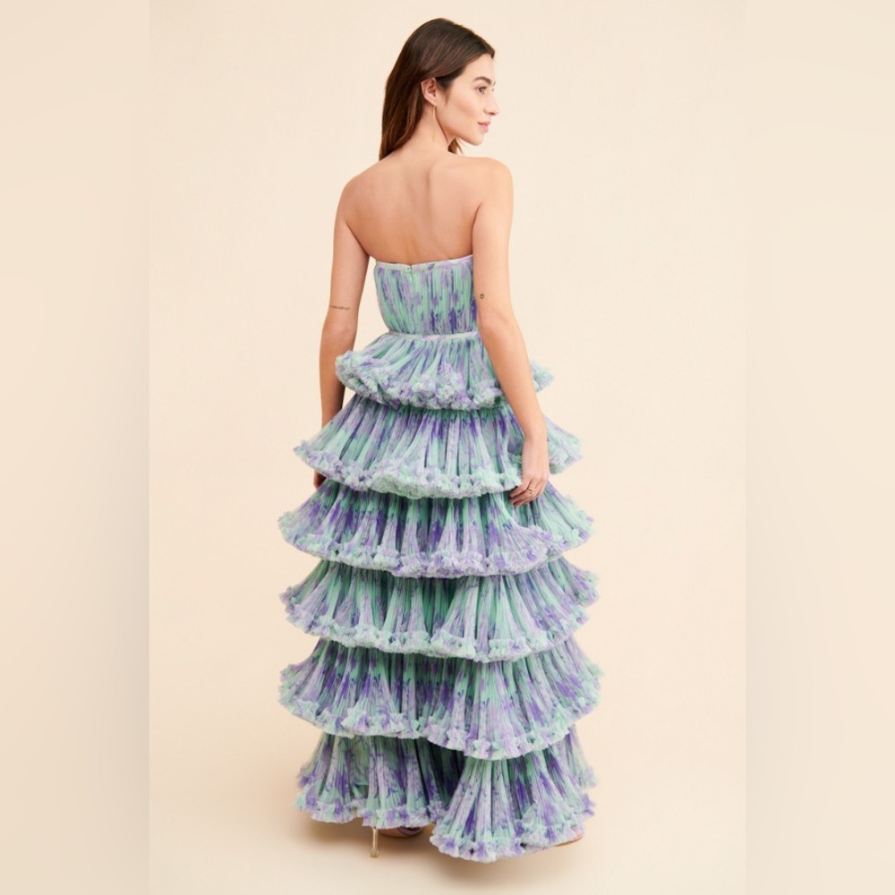 Hutch Giada Floral Mesh Ruffle Gown - Picture 2 of 14